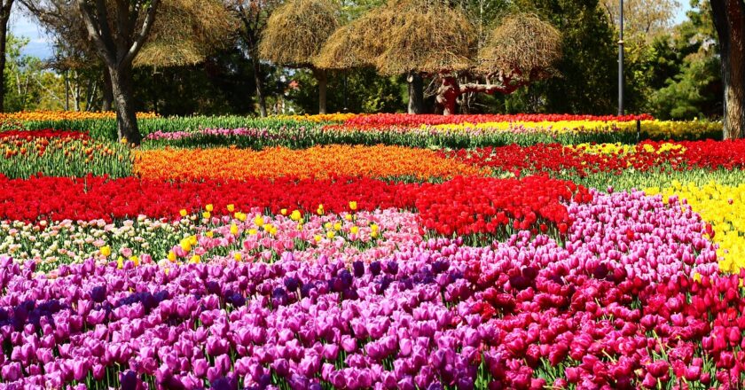 Het belang van goede tuinslangkoppelingen